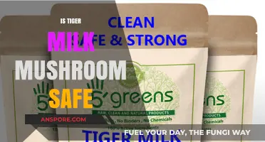 Tiger Milk Mushroom: Safe Superfood?