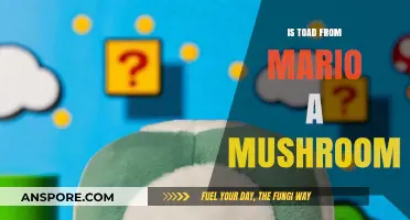 Is Toad from Mario a Mushroom? Unraveling the Toad Truth