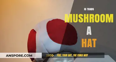 Toad's Mushroom: Hat or Habitat?