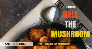 Who Is the Masked Mushroom? Todrick Hall Unveiled