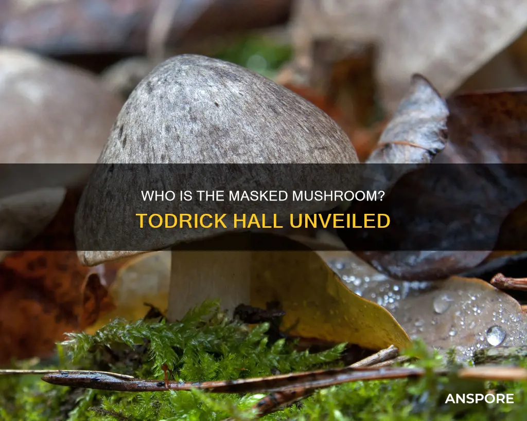 is todrick hall the mushroom