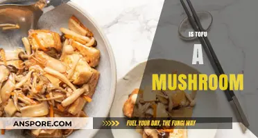 Toffu and Mushrooms: What's the Difference?