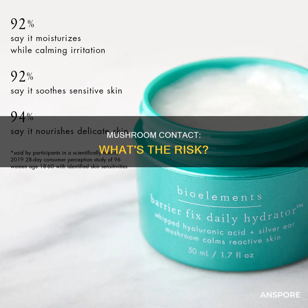 is touching mushrooms dangerous