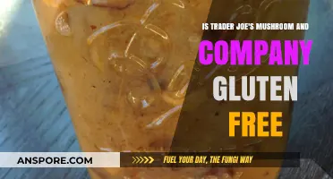 Trader Joe's Mushroom & Company: Gluten-Free or Not?