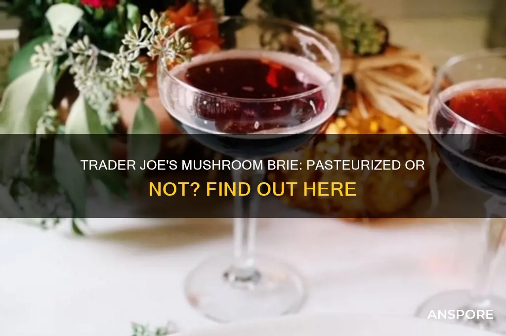 is trader joe