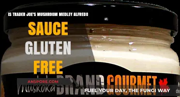 Trader Joe's Mushroom Medley Alfredo Sauce: Gluten-Free or Not?