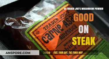 Trader Joe's Mushroom Powder: Steak Enhancer or Overhyped?