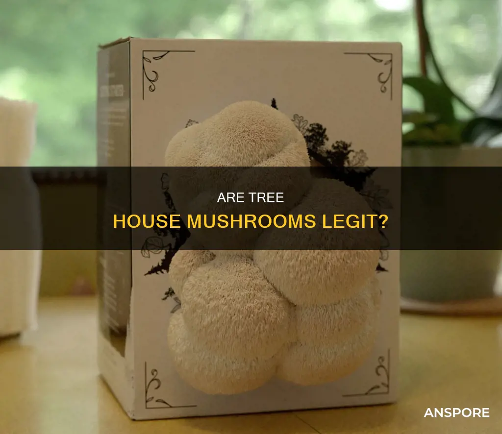 is tre house mushrooms legit