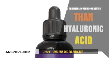 Tremella Mushroom vs. Hyaluronic Acid: Which Hydrates Skin Better?