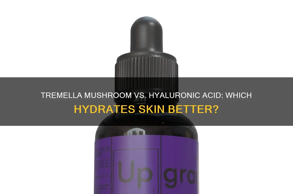 is tremella mushroom better than hyaluronic acid