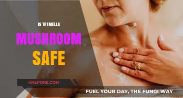 Tremella Mushroom: Safe Superfood or Health Risk?
