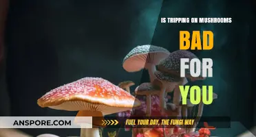 Mushroom Trips: Risks, Benefits, and Long-Term Effects Explained