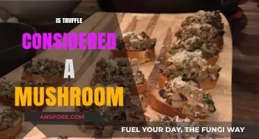 Truffle's True Identity: Mushroom or Not?