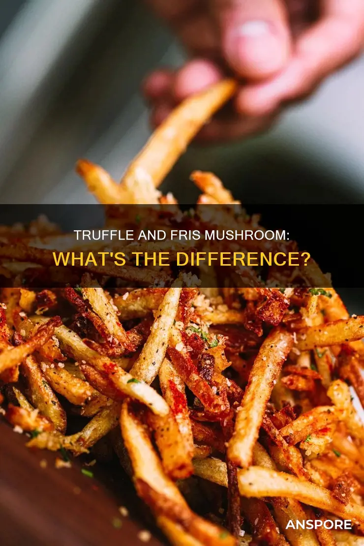 is truffle fris mushroom