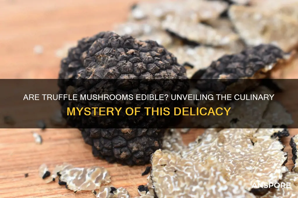 is truffle mushroom edible