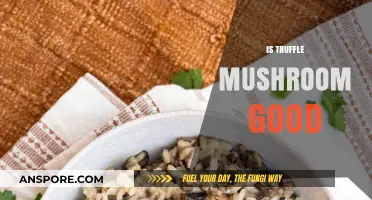 Is Truffle Mushroom Good? Unveiling the Culinary and Health Benefits