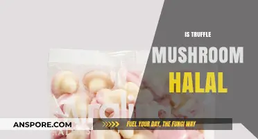 Truffle Mushrooms: Halal or Haram?