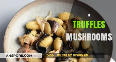 The Mystery of Truffles: Are They Mushrooms?