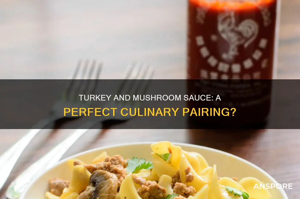 is turkey food with a mushroom sauce