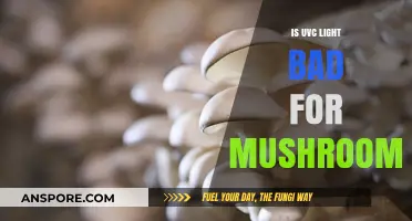 UVC Light's Impact on Mushrooms: Harmful or Harmless?