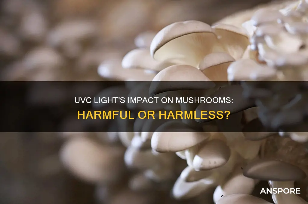 is uvc light bad for mushrooms