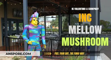 Exploring Valentino & Company Inc's Connection to Mellow Mushroom Franchise
