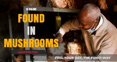 Valine in Mushrooms: What's the Deal?