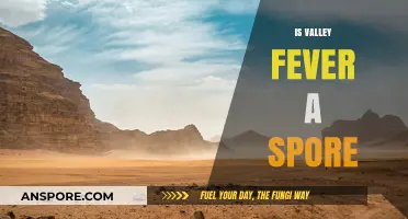 Is Valley Fever Caused by Fungal Spores? Unraveling the Mystery