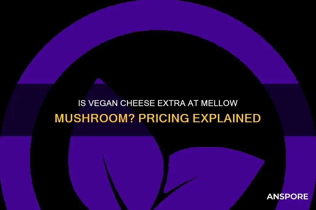 is vegan cheese extra at mellow mushroom