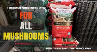 Vermiculite Perlite Substrate: Ideal for All Mushroom Cultivation?