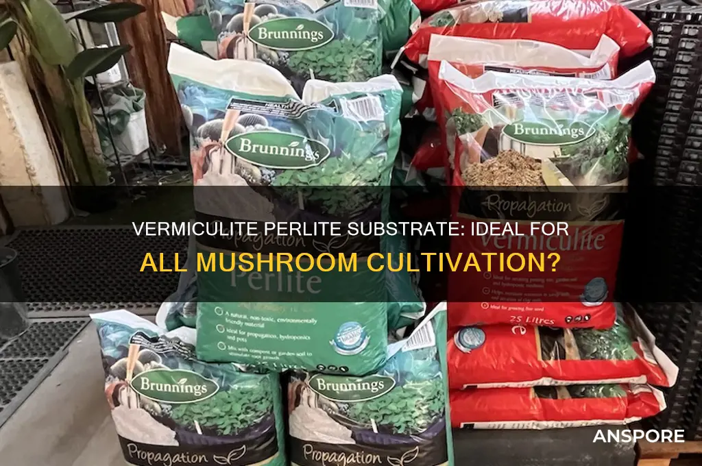 is vermiculite perlite substrate good for all mushrooms