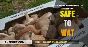 Is Your Refrigerated Brown Mushroom Still Safe to Eat?