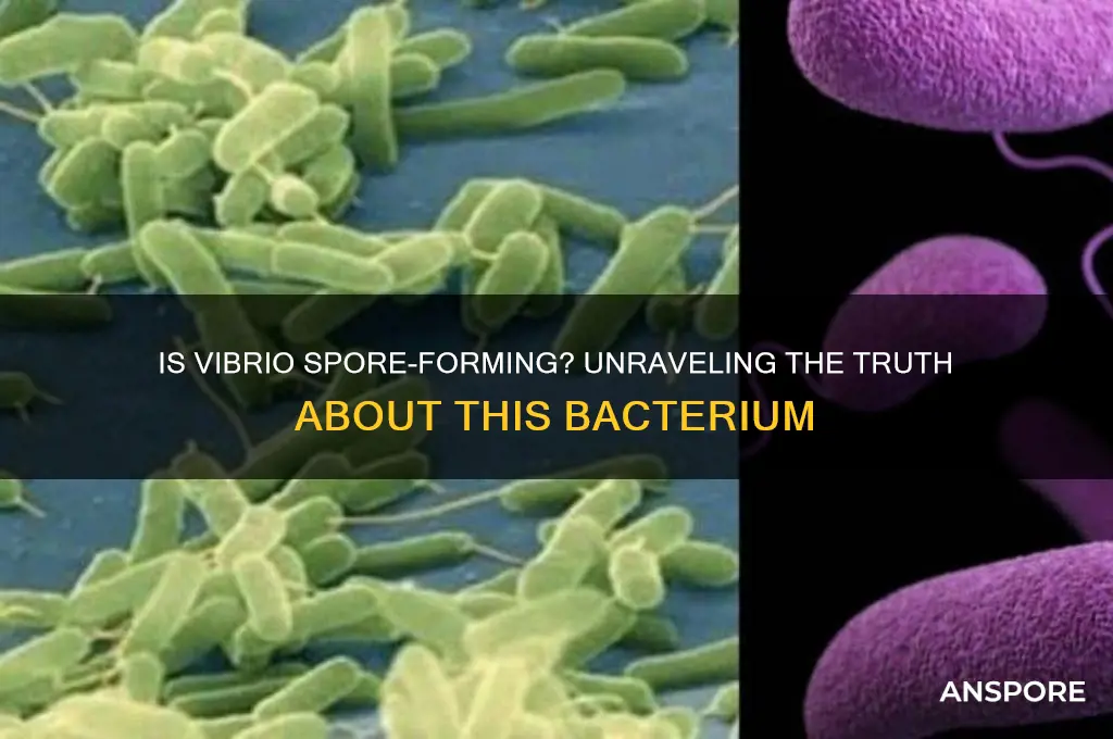 is vibrio a spore forming