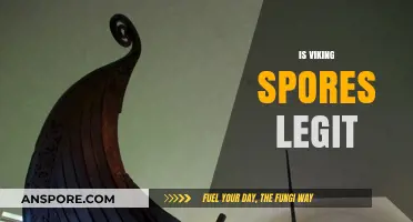 Is Viking Spore Legit? Unveiling the Truth Behind the Brand