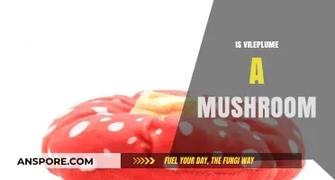 Vileplume: Mushroom or Pokémon?