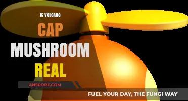 Volcano Cap Mushrooms: Fact or Fiction?