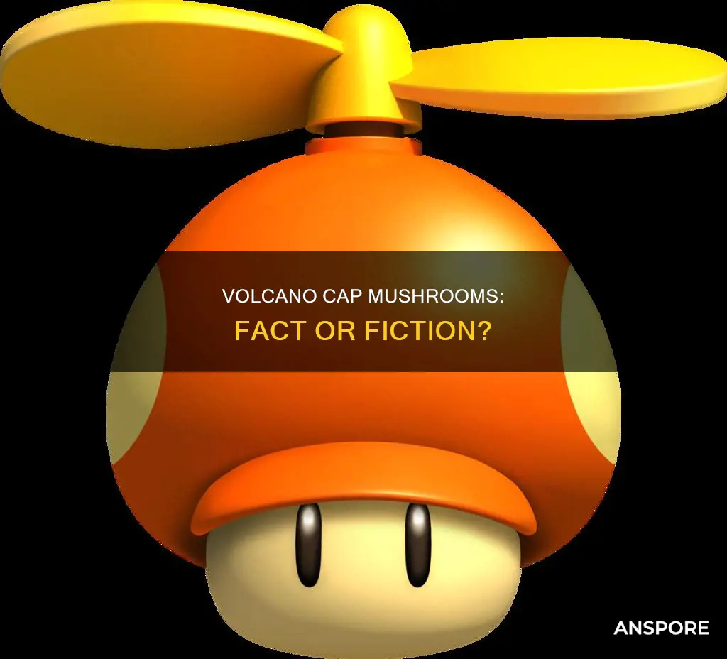 is volcano cap mushroom real