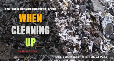 Wetting Moldy Materials: Effective Method to Prevent Spores During Cleanup?