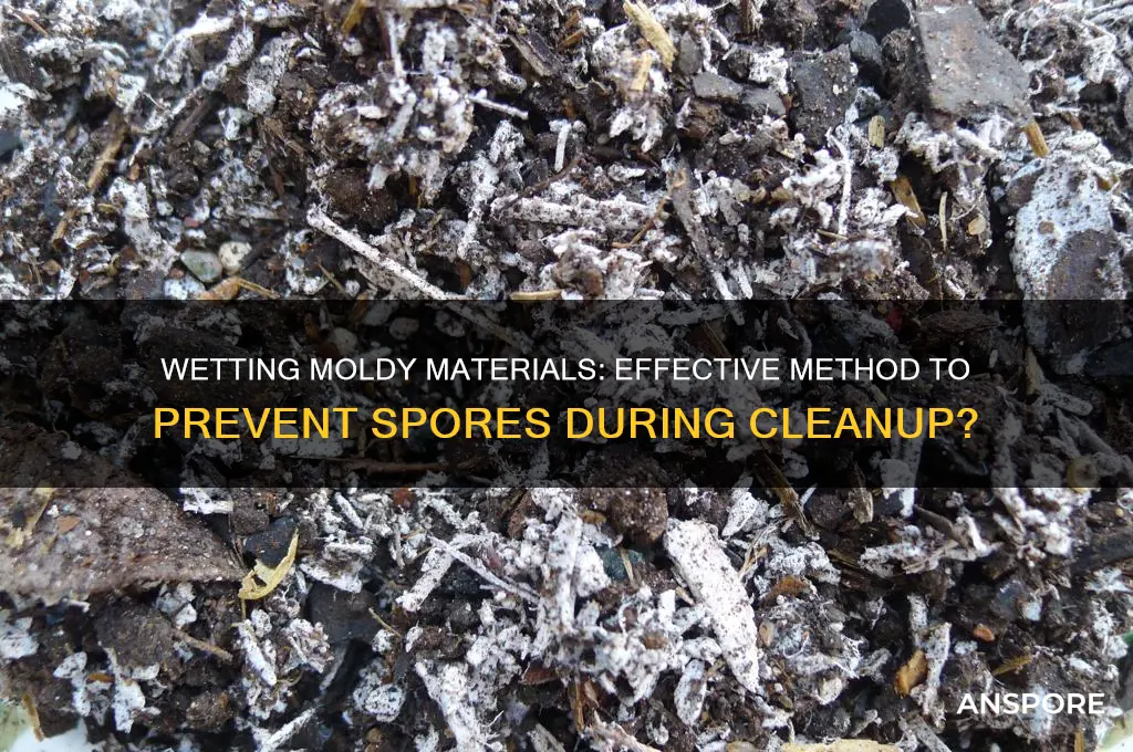 is wetting moldy materials prevent spores when cleaning up