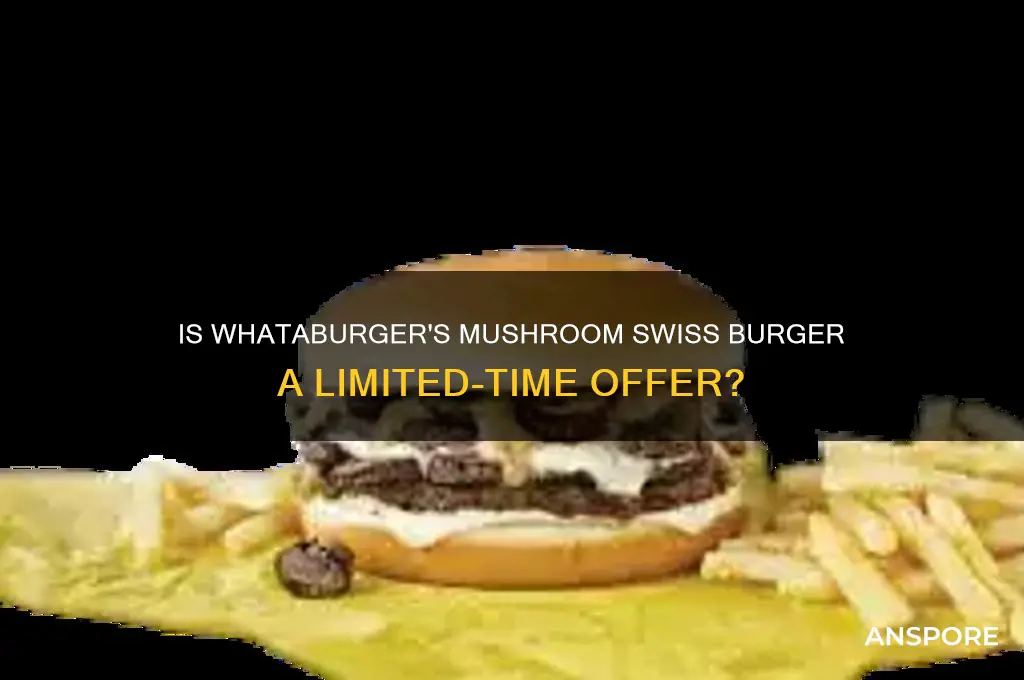 is whataburger mushroom swiss burger limited