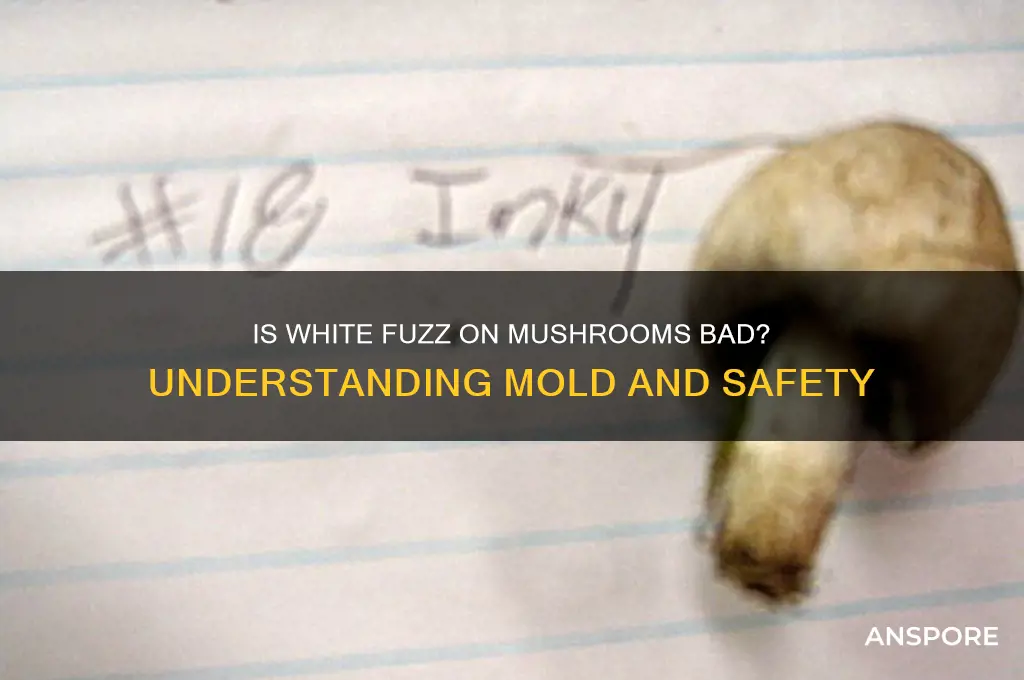is white fuzz on mushrooms bad