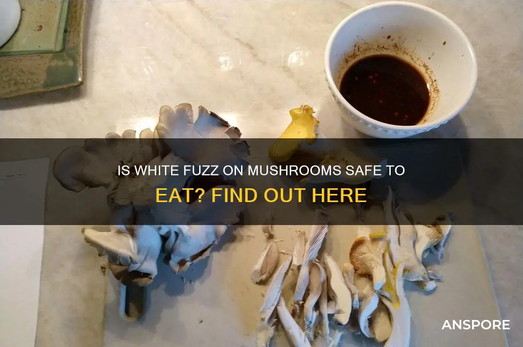 is white fuzz on mushrooms ok