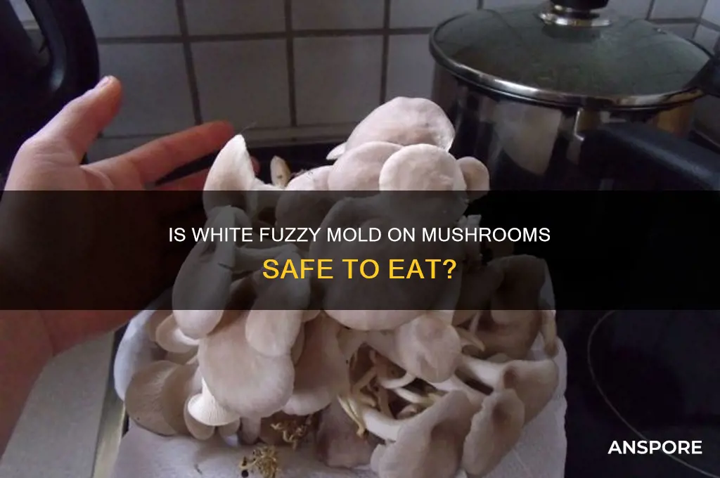 is white fuzzy mold on mushrooms ok