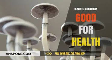 White Mushrooms: Unveiling Their Surprising Health Benefits and Nutritional Value