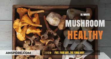 White Mushrooms: Healthy or Harmful?