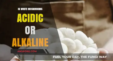 Are White Mushrooms Acidic or Alkaline? Unveiling the pH Truth