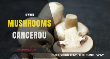 White Mushrooms: Cancer-Causing or Not?