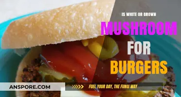White vs. Brown Mushrooms: Which Tops Your Burger Best?