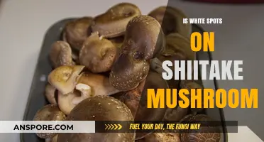 Are White Spots on Shiitake Mushrooms Safe to Eat?