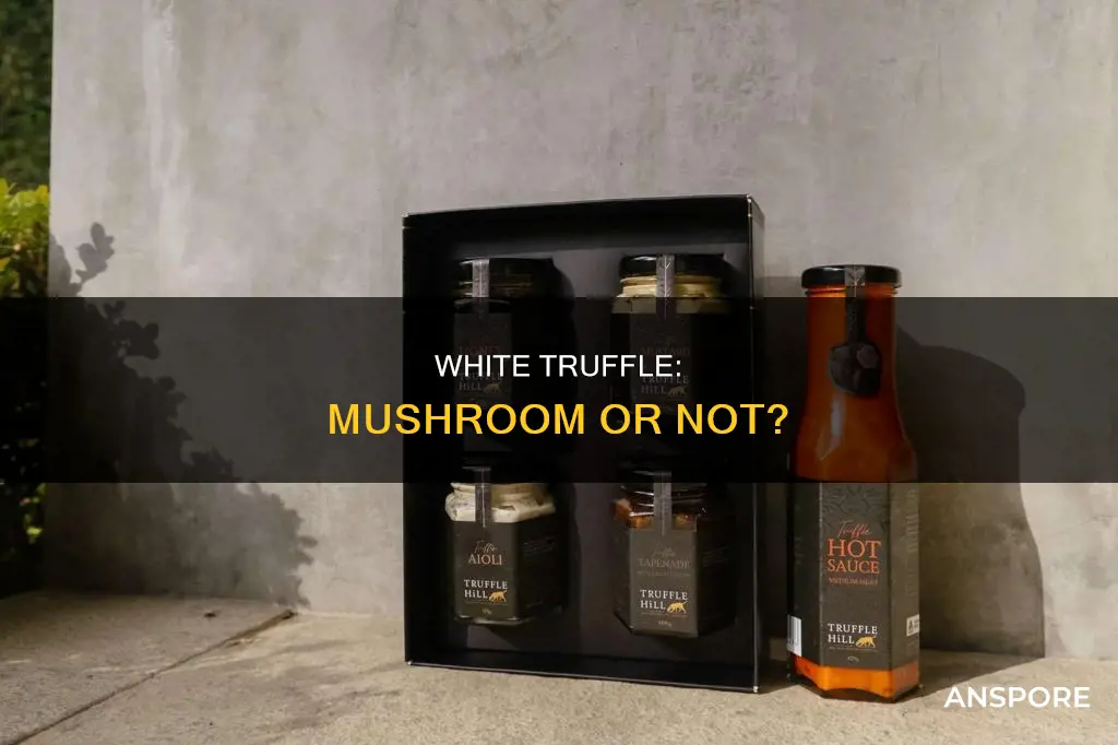 is white truffle a mushroom